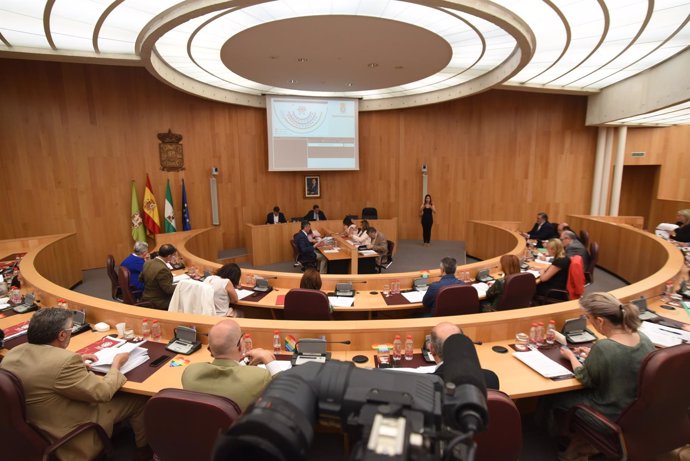 Pleno de la Diputación de junio de 2018