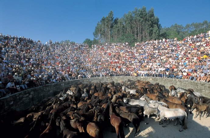 Rapa das bestas de Sabucedo