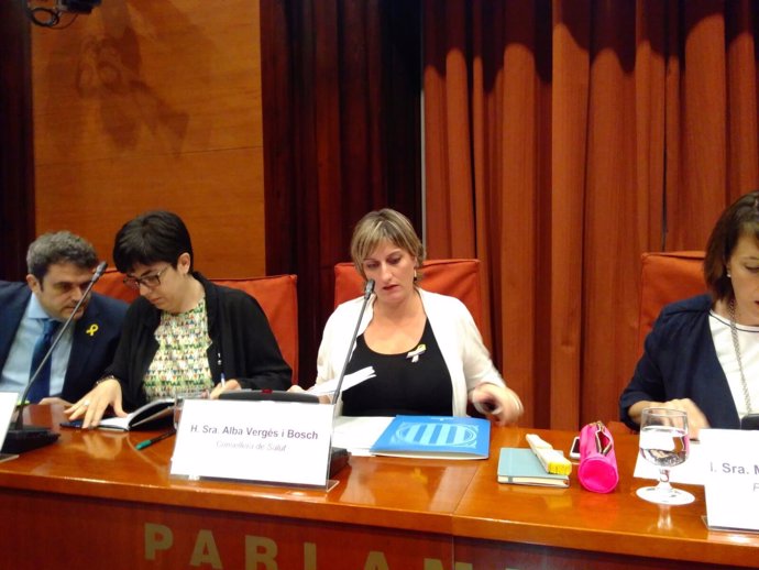 La consellera de Salud, Alba Vergés, en comisión parlamentaria