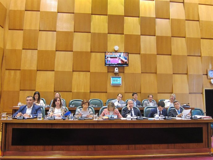 Concejales del grupo del PP                