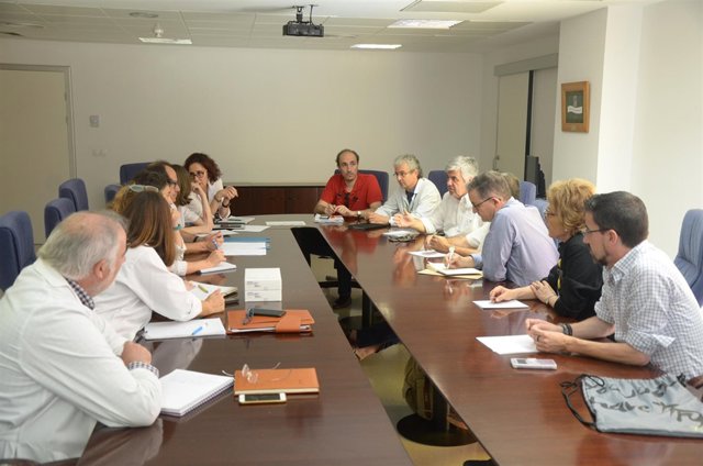 Comisión de Pediatría Paliativa