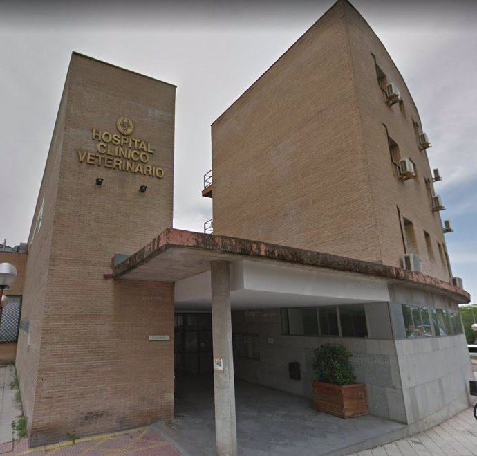Hospital Clínico Veterinario de la Universidad Complutense de Madrid
