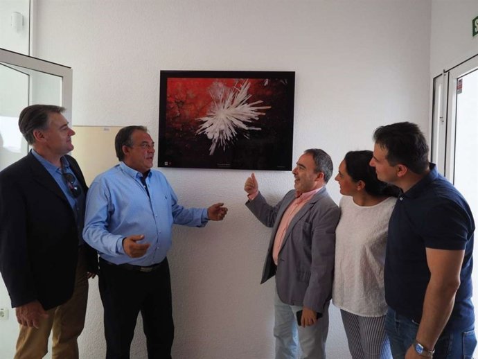 Camping de Castañar