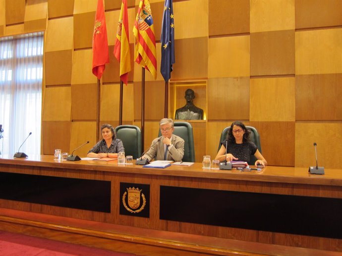                     Pleno Del Ayuntamiento De Zaragoza          