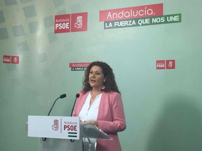 La secretaria de Organización del PSOE de Cádiz, Araceli Maese