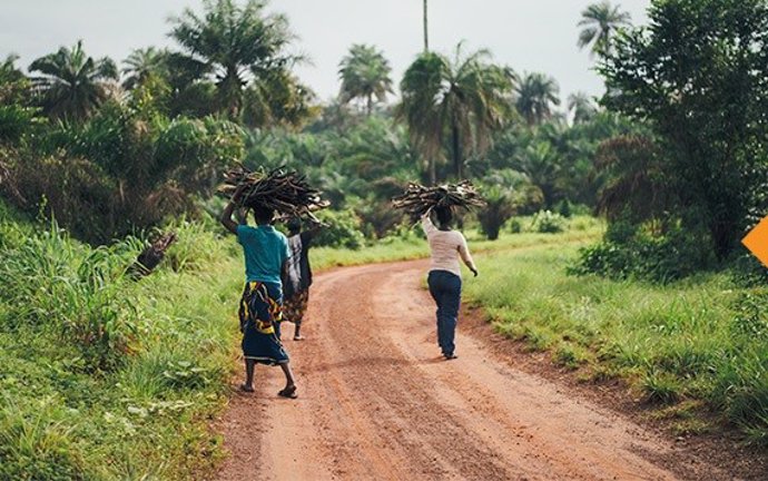 Mujeres africanas caminan portando ramas sobre la cabeza