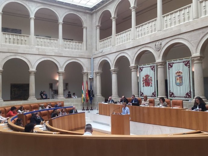 Pleno del Parlamento de La Rioja