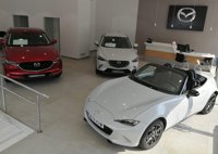 Aniacam cree que la coyuntura política lastró las ventas de vehículos a particulares en junio