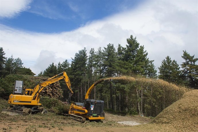 Astilladora en la zona de actuación del proyecto