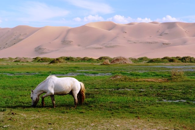 Imagen de una llanura en Mongolia