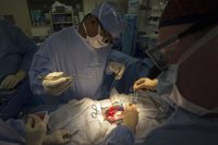 Una ONG denuncia que la "industria de trasplantes" de órganos en China sigue nutriéndose de prisioneros