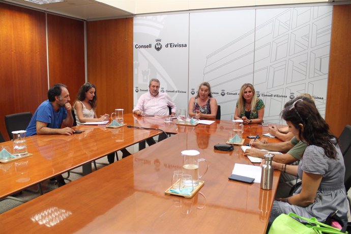 Consell de Ibiza y ecologistas