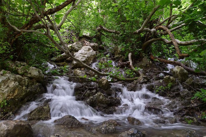 Acuífero villanueva del Rosario sierra del Jobo estudio internacional de la UMA 