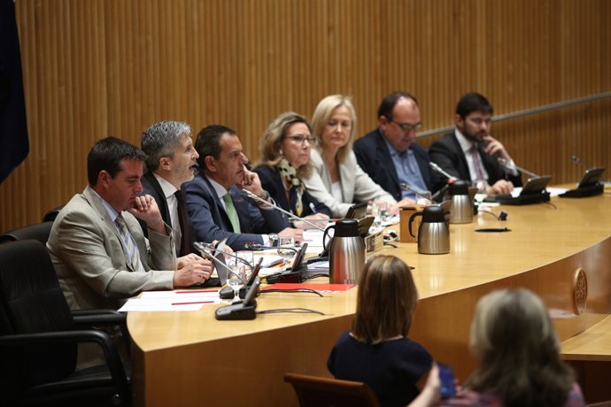 Grande-Marlaska explica al Congrés les línies generals del seu departament