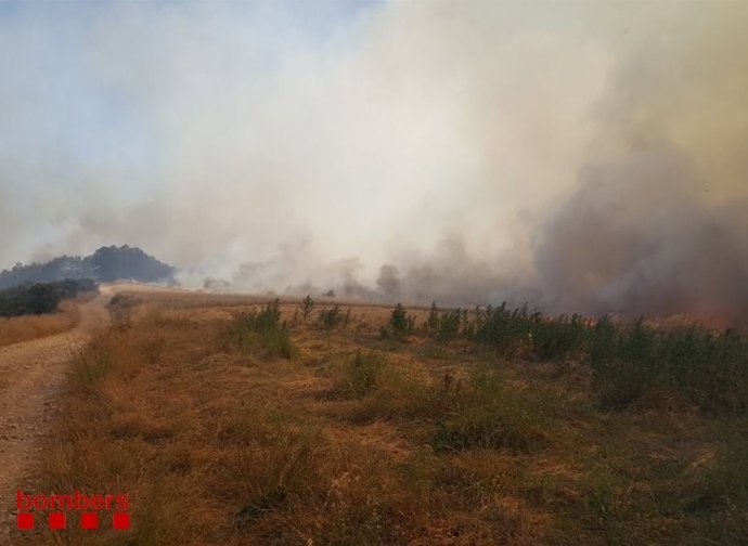 Incendio en Vilopriu (Girona)