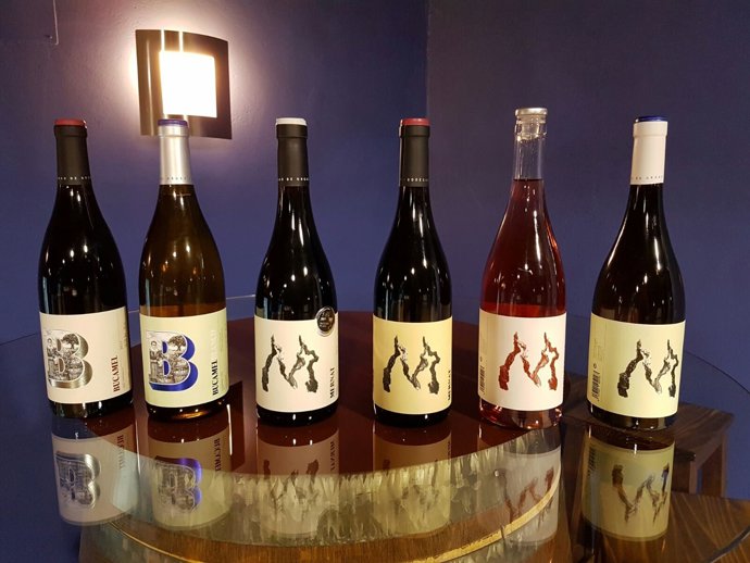 Bodegas Tierras de ORgaz