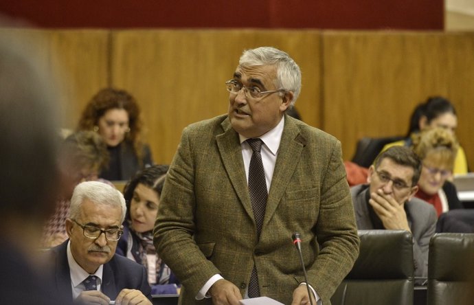 El consejero de Economía, Antonio Ramírez de Arellano, en el Parlamento