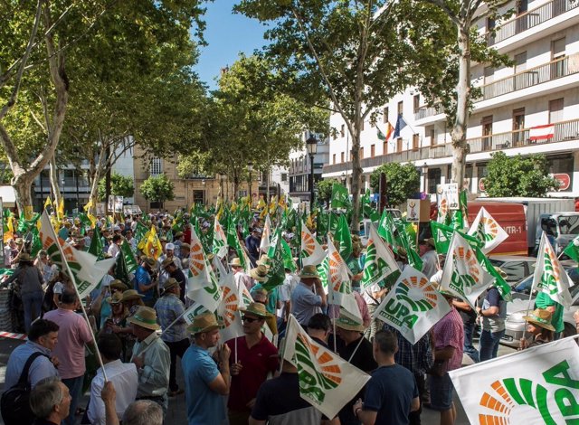 Concentración en Sevilla en defensa del sector de la aceituna de mesa.