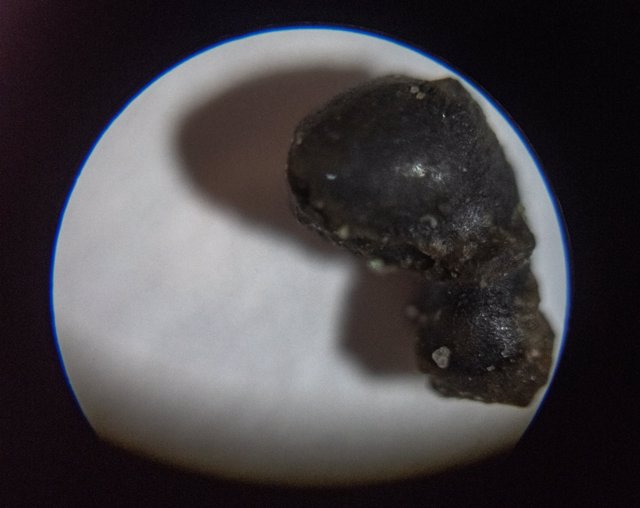 Frgamento de corteza de fusión de meteorito recuperada del fondo del mar