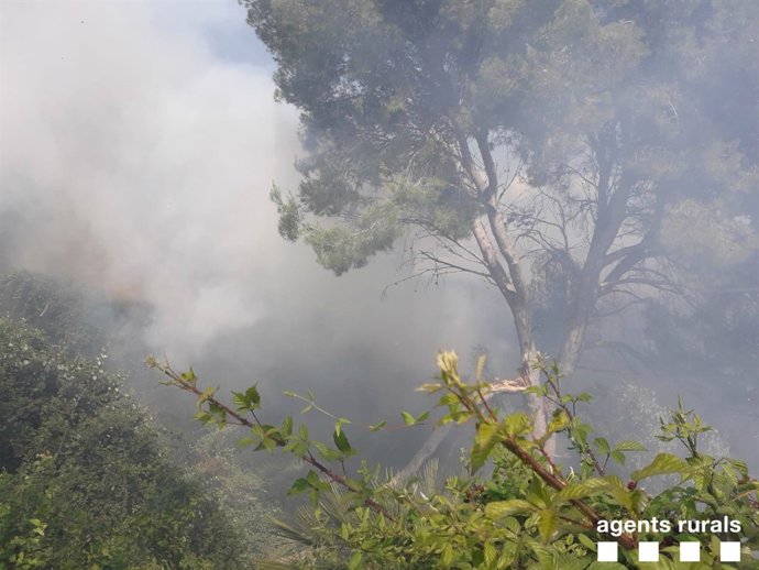 Incendi a Sant Pere de Ribes (Barcelona)