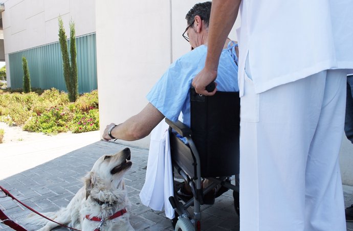 Paciente con un perro
