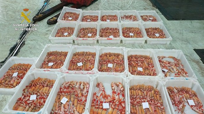 Cigala incautada en la lonja de A Coruña