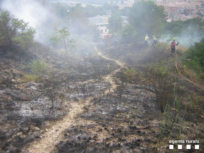 Incendio forestal en la zona de Torre Gironella en Girona