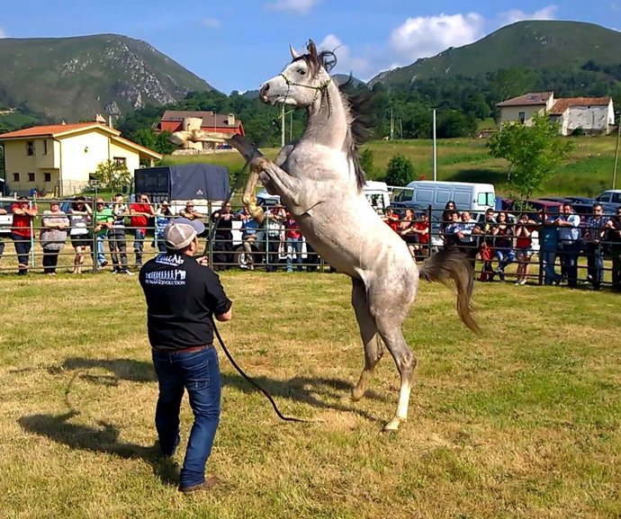 Concurso de doma de potros de Premuño