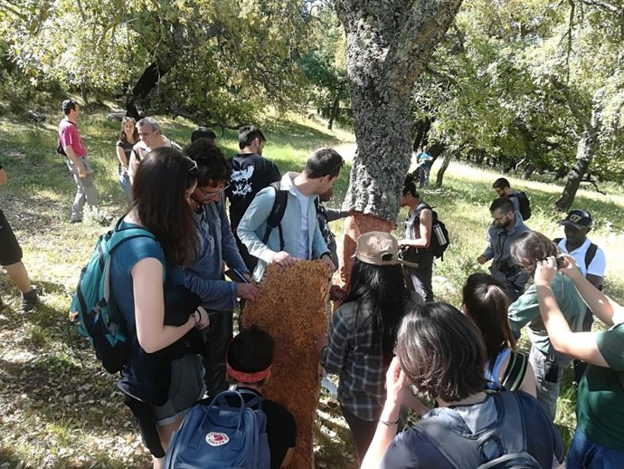 Estudiantes universitarios en parques naturales de Cádiz