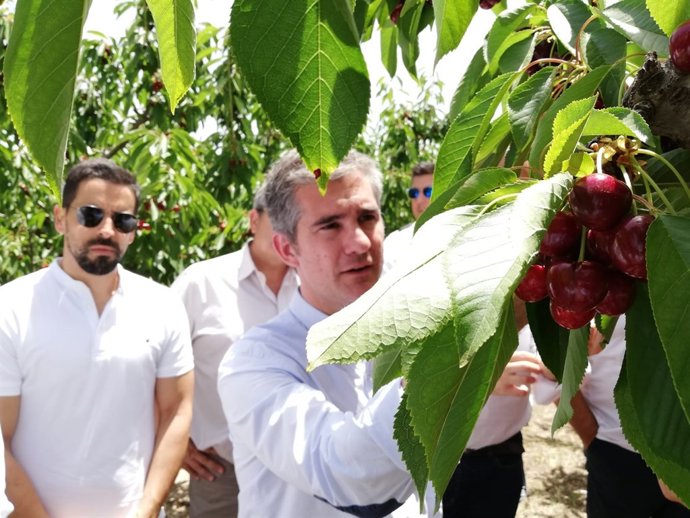 El consejero Del Amor, durante su visita a la finca de cerezas