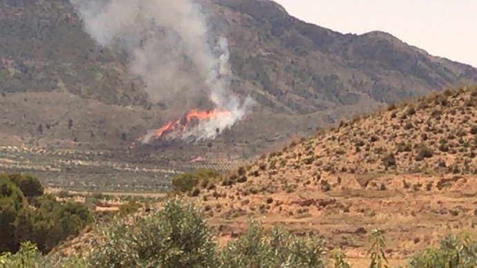 Imagen del incendio declarado en el Cerro del Oro