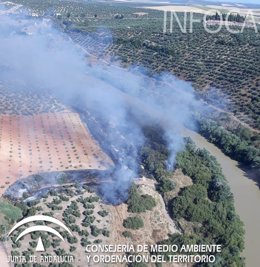 Incendio forestal en Montoro (Córdoba)