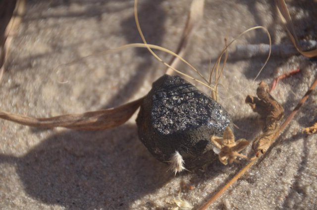 Meteorito de Botswana