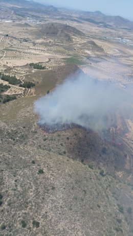 El incendio forestal en el Cerro del Oro de Jumilla calcina 8 hectáreas 