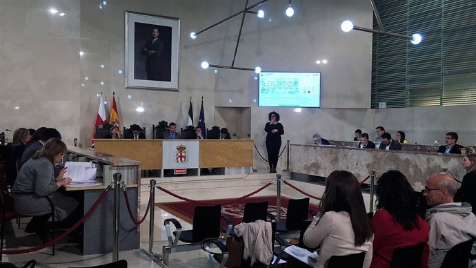 Pleno del Ayuntamiento de Almería