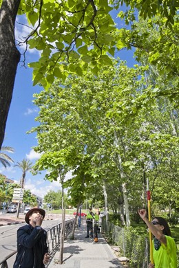 PArque de Leganés