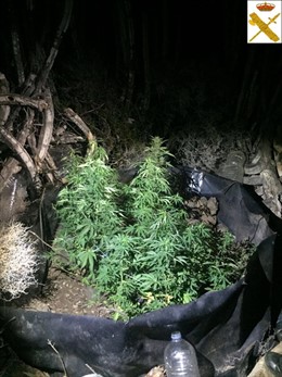 [Grupocanarias] La Guardia Civil Detiene A Un Hombre Que Increpó A Los Agentes A