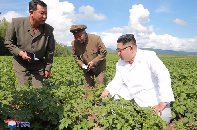 El líder norcoreano, Kim Jong Un, en una granja 