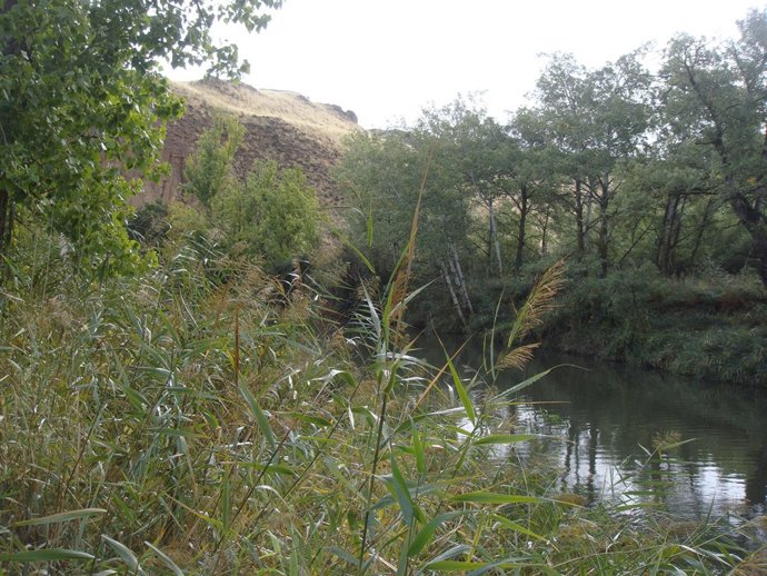 Río Henares en Alcalá