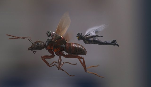 Fotograma de Ant-Man y La Avispa