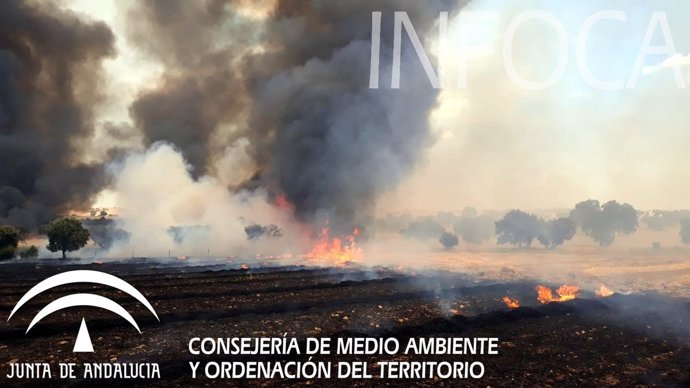 Zona afectada por el fuego en Fuente Obejuna