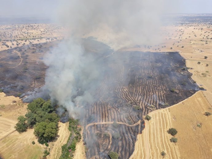 Zona afectada por el fuego en Belalcázar