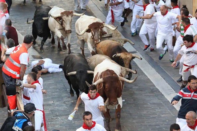 Quinto encierro de San Fermín de la ganadería Núñez del Cuvillo