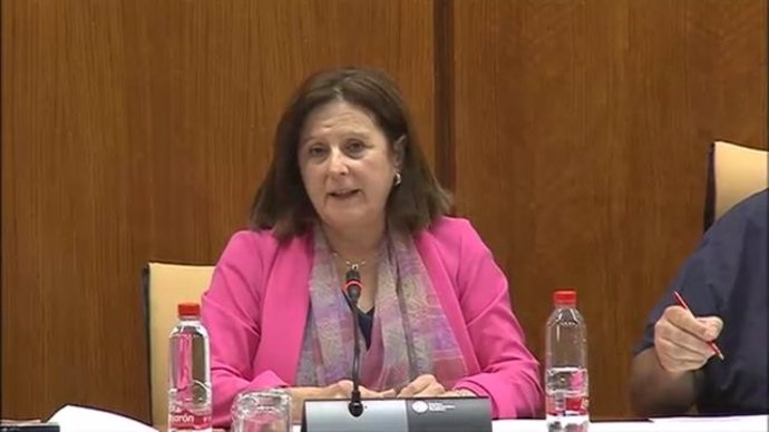 María José Sánchez Rubio en Comisión en el Parlamento