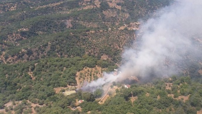Incendio forestal en paraje la pedrera de jubrique málaga infoca 