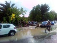 Una fuerte tromba en Zaragoza produce caída árboles, obliga a interrumpir el tranvía y a cortar calles