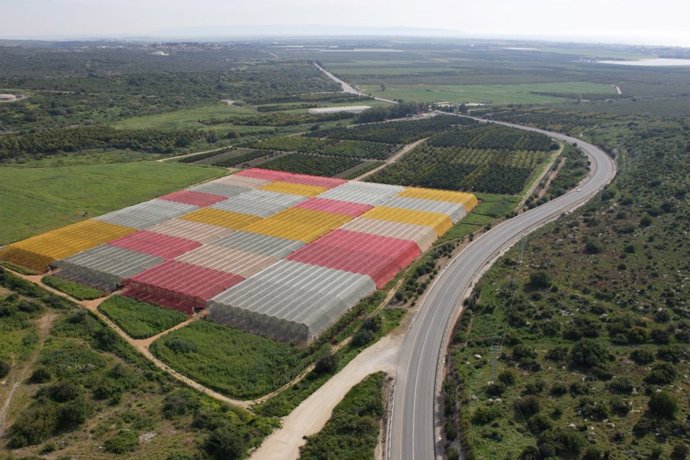 Mallas fotoselectivas 