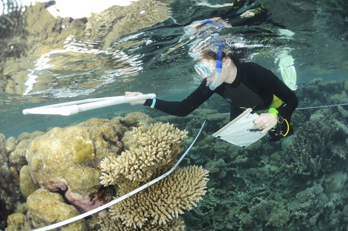 Investigación de arrecife de coral en Chagos