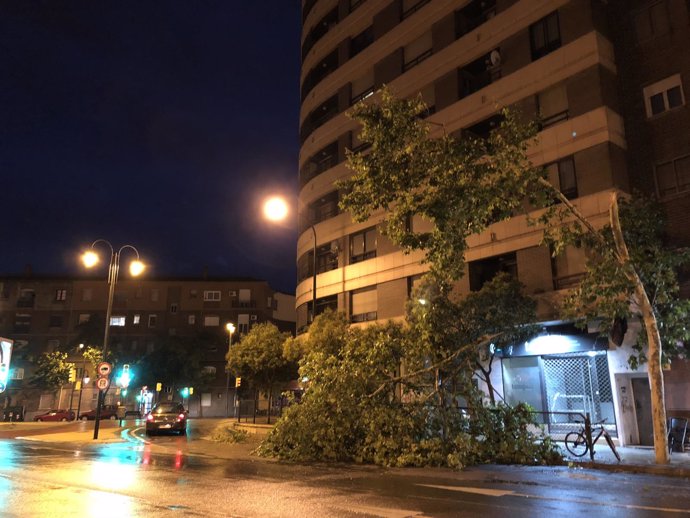 Uno de los árboles derribados por la fuerte tromba de este miércoles en Zaragoza