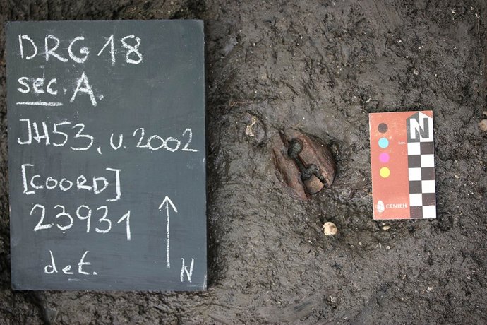 Una excavació en La Draga aporta noves dades sobre l'arquitectura neolítica